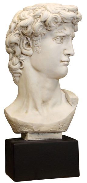 Plaster Art Grade David Bust By Michelangelo Statue Head Portraiture